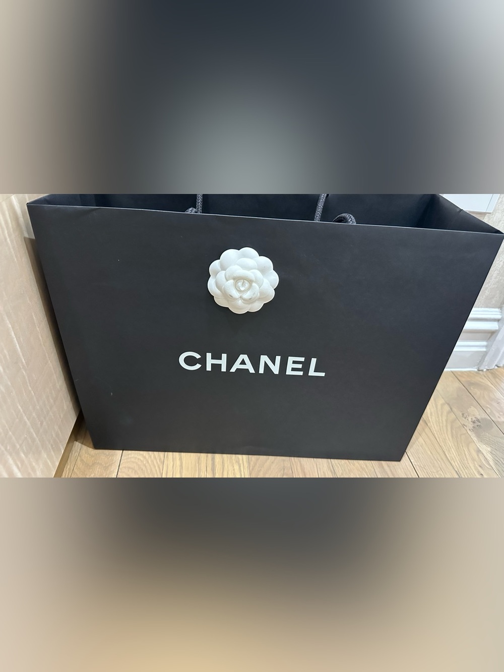 CHANEL Coco Beach 2026 Half Vanity Top-Handle Bag with Black Trim - Picture 13 of 13